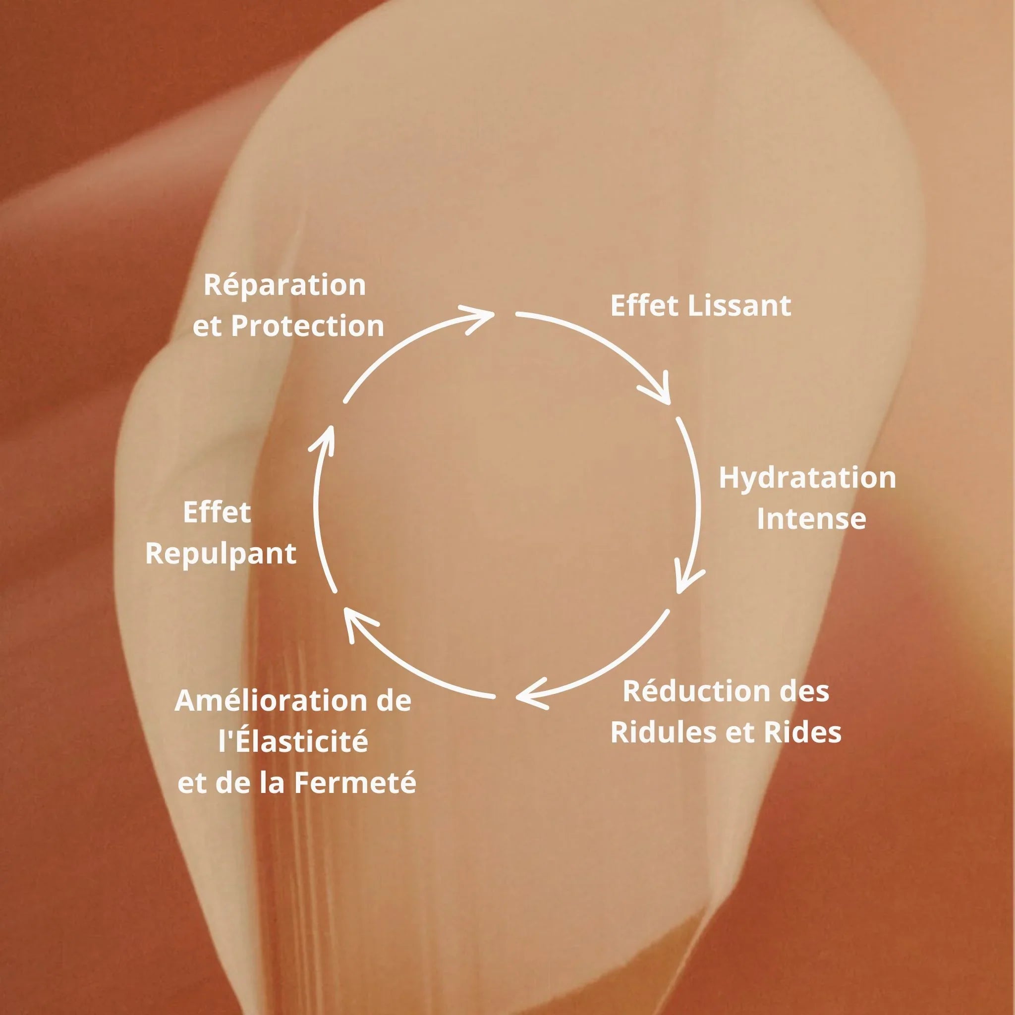 Texture légère de la crème jour anti-rides